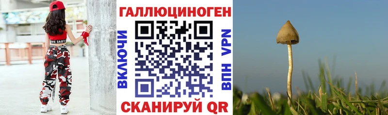 Псилоцибиновые грибы мухоморы  ссылка на мегу   Горно-Алтайск 